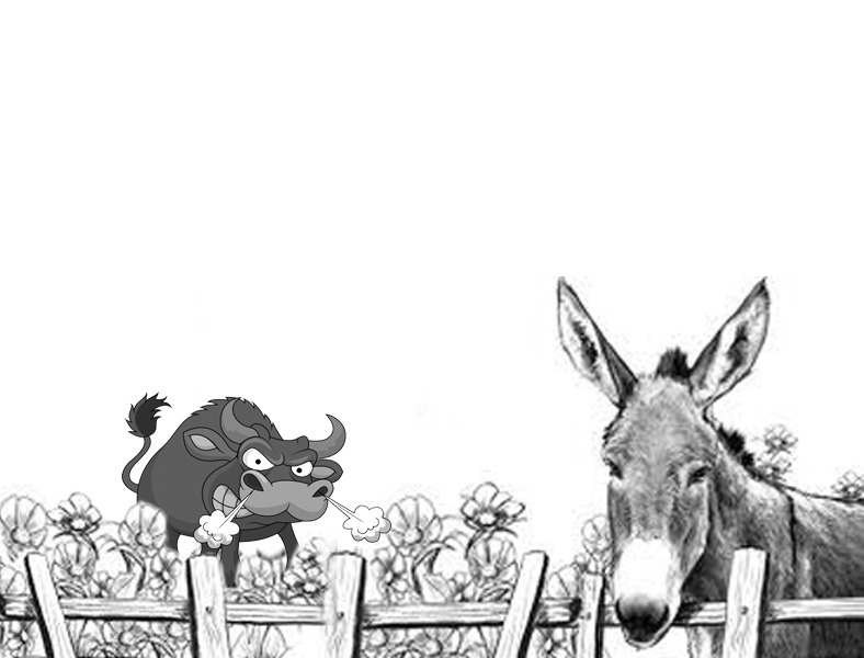 la burra y el toro